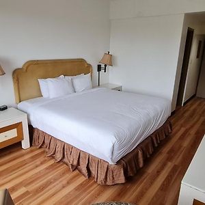 Deluxe King Studio